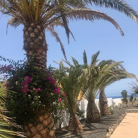 La Tortuga Complex Amaya Fuerteventura
